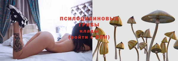соль курить ск Богданович