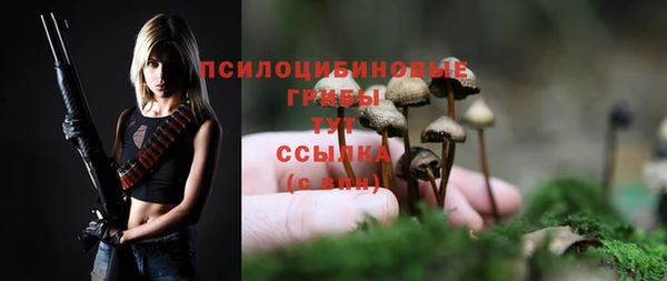 герыч Богородск