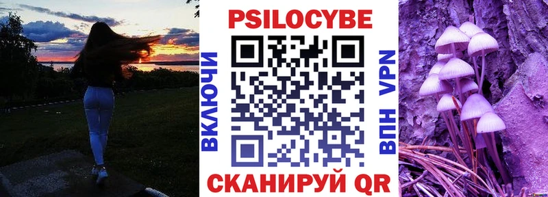 Галлюциногенные грибы Psilocybine cubensis  купить наркотик  Кольчугино 